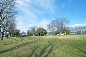 亀岡運動公園 公園 ピクニック 桜花見 タコ公園 プール 野球場 テニス