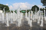 亀岡運動公園 公園 噴水 水遊び ピクニック 桜花見 タコ公園 プール 野球場 テニス