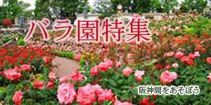 関西のバラ園 ローズガーデン バラ花見スポット 2023年