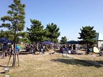 芦屋市総合公園 ピクニック バーベキュー