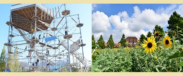 滋賀農業公園ブルーメの丘 ネモフィラ畑 テーマパーク 体験施設 動物・植物と触れ合う 写真