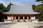 京都市　醍醐寺 桜名所 世界文化遺産 寺