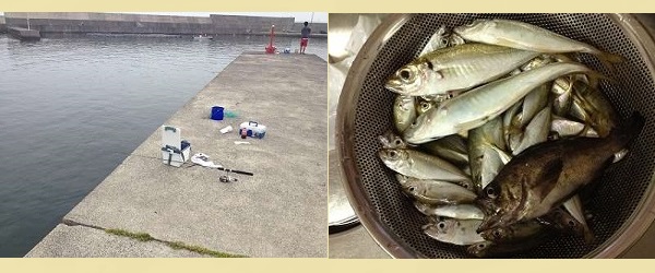 鳥取県 釣り場 船磯漁港 フィッシング キス釣り 写真