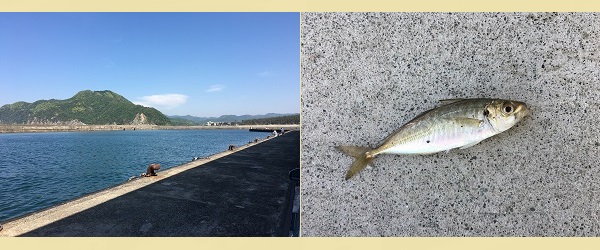 兵庫の釣り場 浜坂港 アオリイカ釣り アジ釣り キス釣り フィッシング 釣り場 写真