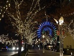 神戸ガス燈通りイルミネーション ウィンターイルミネーション　兵庫県神戸市