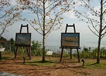 植物を楽しむ ガーデンミュージアム比叡 眺望 チューリップ花見 植物園 ミュージアム バラ花見 コスモス