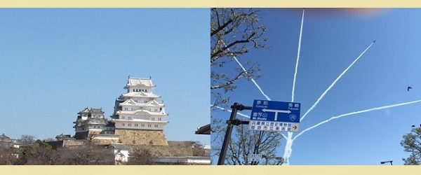 姫路城 白鷺城 名城 世界遺産 好古園 写真