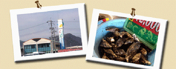 日生カキオコ お好み焼き 牡蠣 鉄板焼き 観光スポット ご当地グルメ 写真