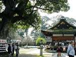京都市 平野神社 七五三詣