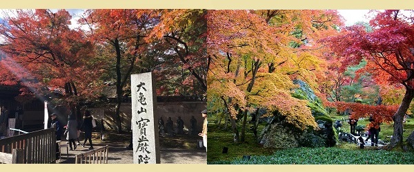宝厳院 紅葉スポット 寺院 紅葉名所 京都観光 紅葉ライトアップ 写真