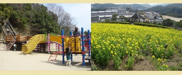 神戸総合運動公園 菜の花畑 ローラー滑り台 公園 写真