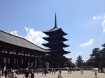 節分祭 豆まきイベント 興福寺 五重の塔 世界遺産