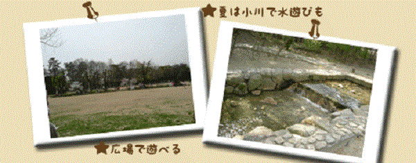 昆陽池公園 公園 桜花見 白鳥写真