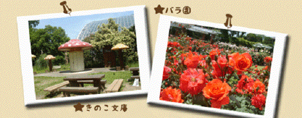 京都府立植物園 バラ園 イルミネーション 植物園 写真