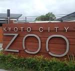 京都市動物園 おでかけ ぞう きりん