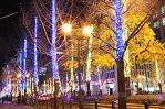 御堂筋イルミネーション デートスポット 冬限定イベント　クリスマスイルミネーション 大阪市