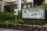 箕面公園昆虫館
