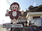 淡路島モンキーセンター 野生サル 猿 動物ふれあい