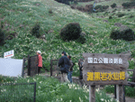 関西 中国地方の水仙花見 花見スポット 水仙名所
