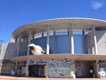 長崎ペンギン水族館 長崎旅行 観光スポット