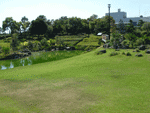 鳴尾浜臨海公園 公園 芝生広場 ピクニック