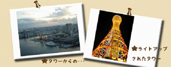 神戸ポートタワー 眺望 見晴らし イルミネーション 写真