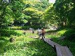 六甲高山植物園 植物園 紅葉ライトアップ