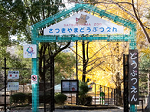 池田市立五月山動物園　ローラー滑り台