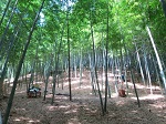 収穫体験 竹の子掘り 山崎竹林園