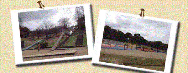 蜻蛉池公園 公園 ピクニック バラ園 ローラー滑り台 大型遊具