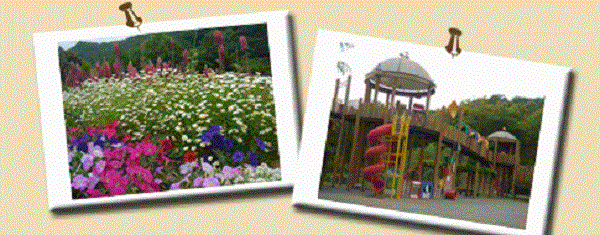 和歌山県植物公園緑花センター 植物を楽しむ ピクニック 写真