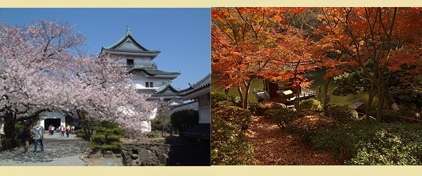 和歌山城 城 徳川頼宣 観光スポット 紅葉 桜花見 写真