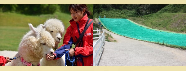 神崎農村公園ヨーデルの森 牧場・動物とふれあう 写真