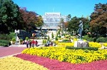 広島市植物公園 植物園 ピクニック 蘭 藤棚 紫陽花 バラ園