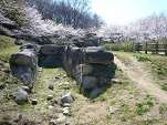 桜花見スポット 近つ飛鳥風土記の丘 おすすめ 人気スポット