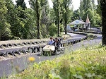 おかやまフォレストパークドイツの森 テーマパーク 体験施設 動物 植物と触れ合う ゴーカート 水遊び