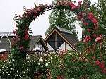 花の文化園 フルルガーデン バラ園 バラ花見見頃 おすすめ 人気スポット