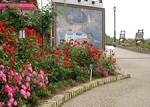 植物を楽しむ ガーデンミュージアム比叡 バラ花見 ローズガーデン 眺望 植物園 ミュージアム