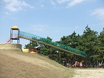 浜寺公園 ローラー滑り台 バラ園 おすすめ 人気スポット