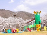 笹ケ丘公園 公園 桜花見 ローラー滑り台