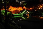 縮景園 名園 庭園 紅葉 紅葉ライトアップ 広島観光