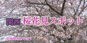 関西 阪神間の桜花見2022年