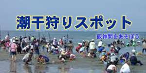 関西・阪神間の潮干狩り2022年
